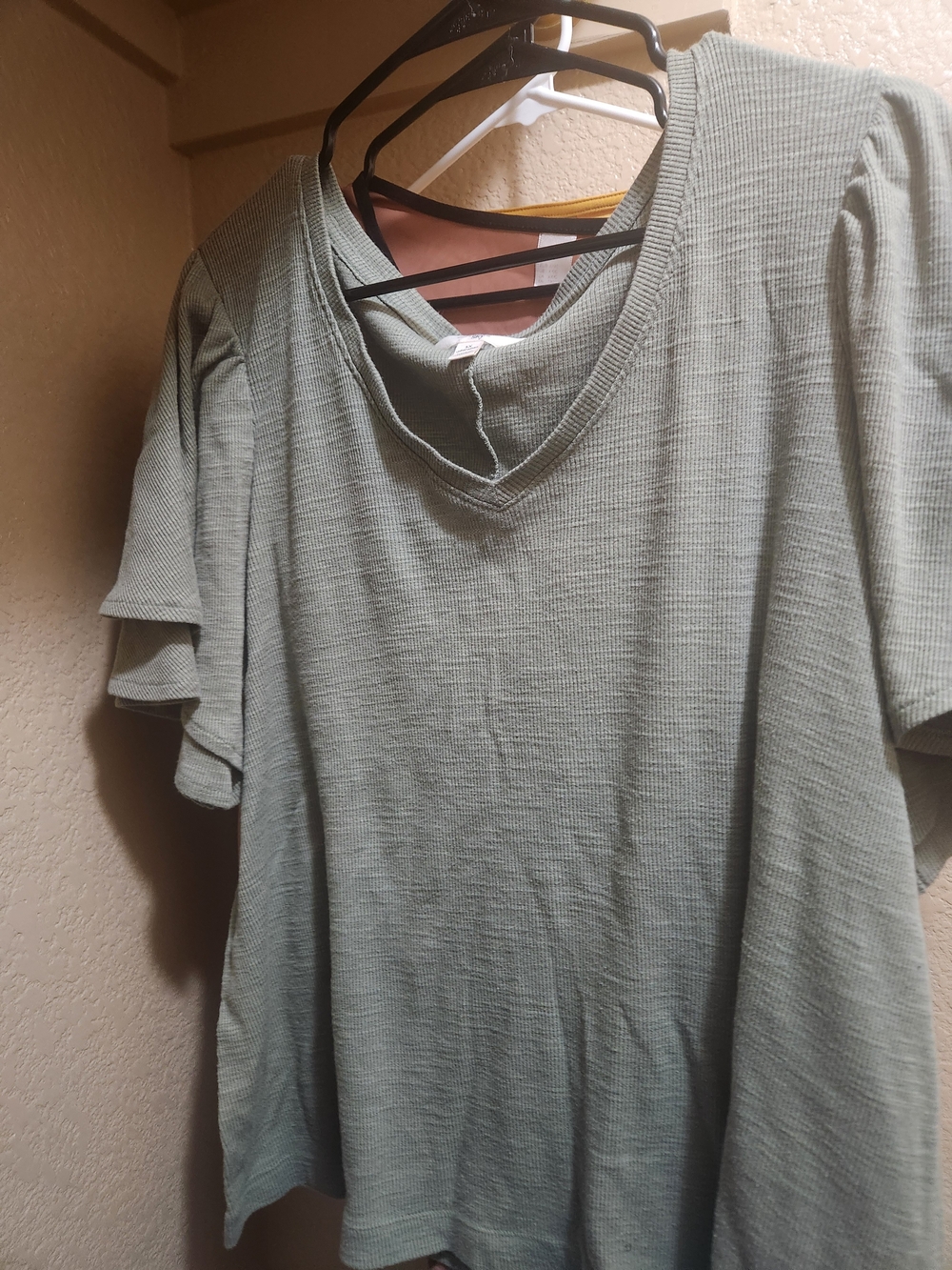 Terra & Sky Sage Green V-Neck Short Sleeve Women's Top